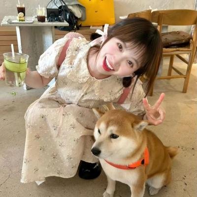 警之光第一季